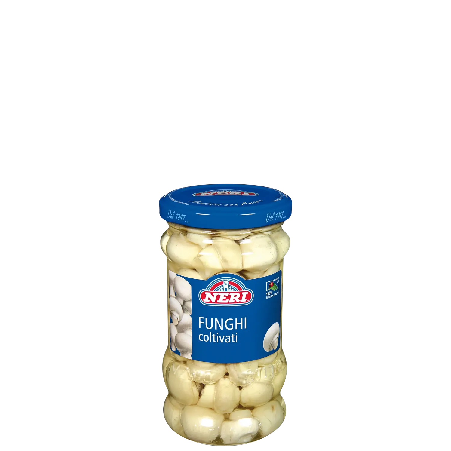 Cultivated champignon mushrooms