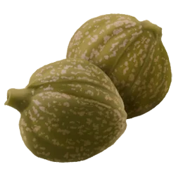capperi