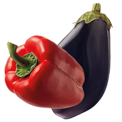 contorni
