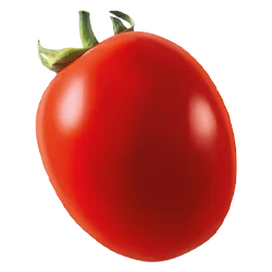 pomodori